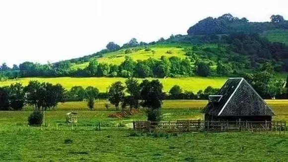 太陽(yáng)能殺蟲(chóng)燈